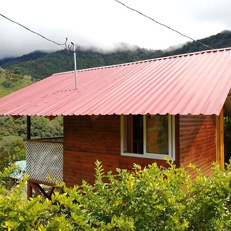 Mario'S Lodge Providencia Copey Eksteriør billede
