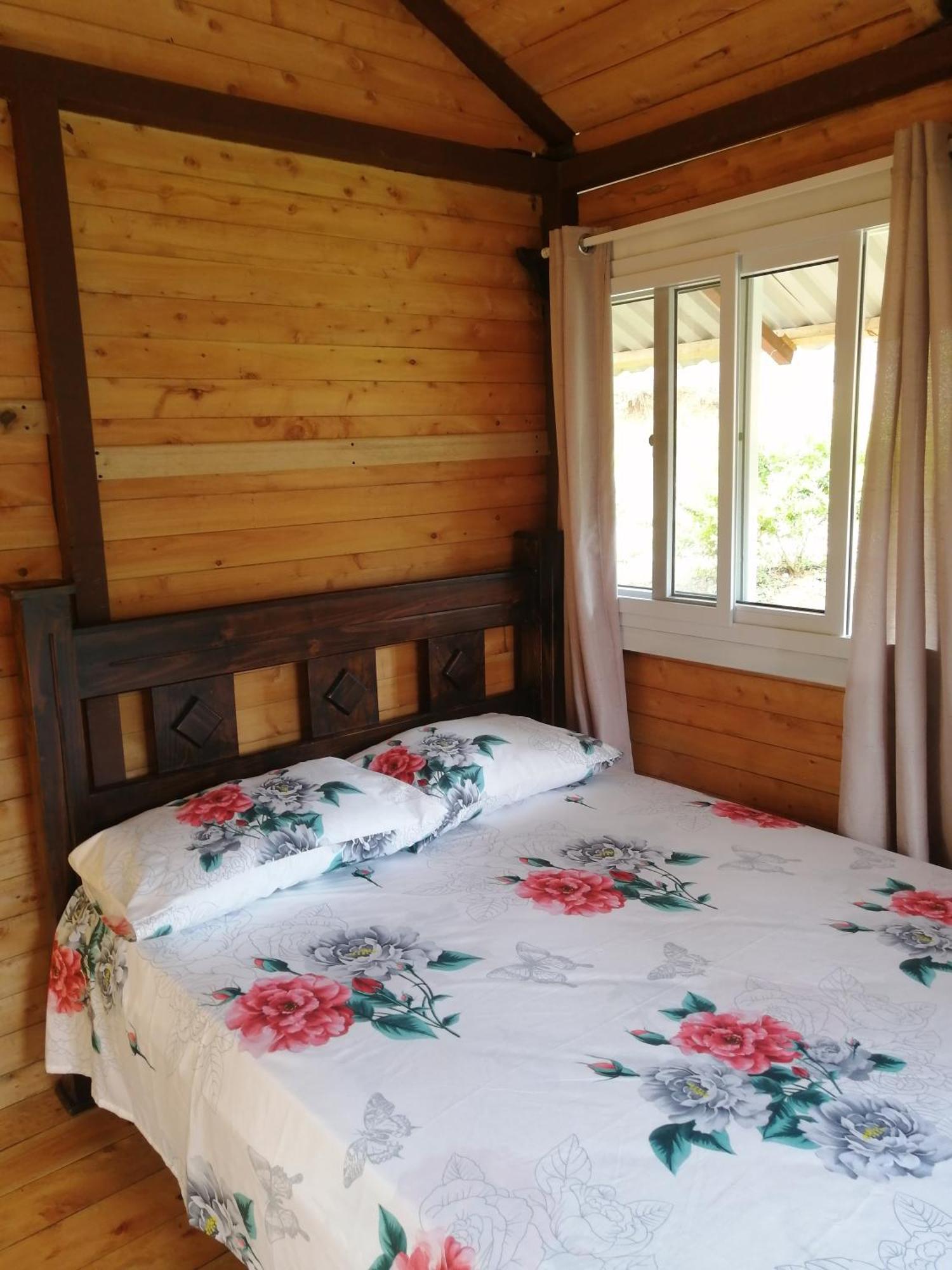 Mario'S Lodge Providencia Copey Eksteriør billede